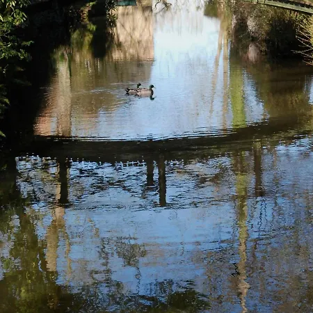 Petite Avec Piscine Chauffee, Tennis Et Nombreuses Activites Pour Tous! - Fr-1-410-270 別荘 Maresché