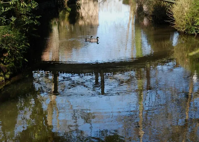 Petite Avec Piscine Chauffee, Tennis Et Nombreuses Activites Pour Tous! - Fr-1-410-270 Dom wakacyjny Maresché